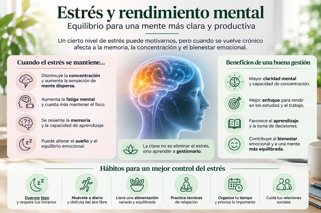 Estrés y rendimiento mental: cómo recuperar el equilibrio y el enfoque